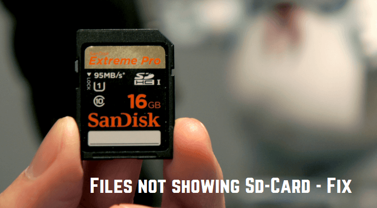 Files not showing in SD Card