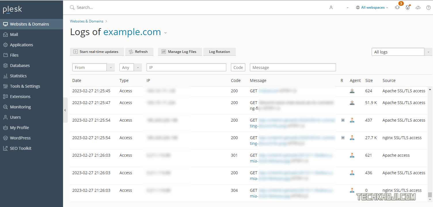 Plesk Domain Access Logs